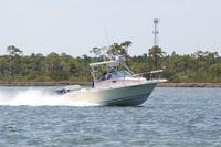 2020-jun-20-pirates-1-1430-1500-IMG_3129