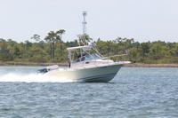 2020-jun-20-pirates-1-1430-1500-IMG_3131