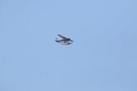 2020-jun-20-pirates-1-1500-1530-IMG_3610