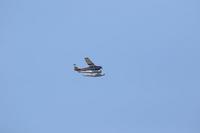 2020-jun-20-pirates-1-1500-1530-IMG_3613