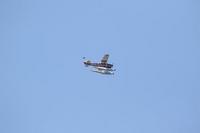 2020-jun-20-pirates-1-1500-1530-IMG_3616