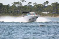 2020-jun-20-pirates-1-1530-1600-IMG_4073