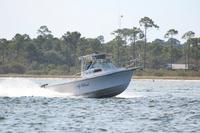 2020-jun-20-pirates-1-1700-1730-IMG_5557