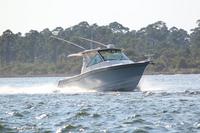 2020-jun-20-pirates-1-1700-1730-IMG_5599