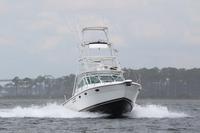 2020-jun-21-pirates-1-1100-1130-IMG_0067