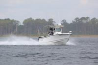 2020-jun-21-pirates-1-1100-1130-IMG_0113