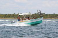 2020-jun-21-pirates-1-1230-1300-IMG_1508