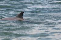 2020-jun-21-pirates-1-1330-1400-IMG_2036